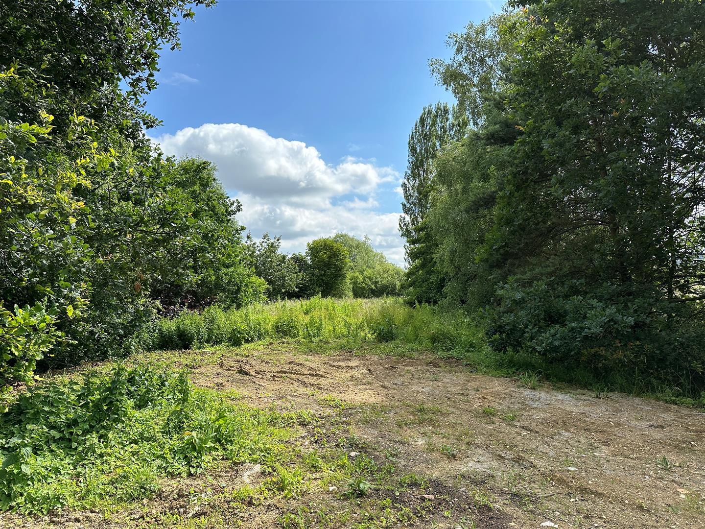 Lye Common, Christian Malford, Chippenham